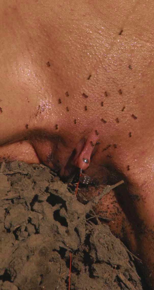 Ants in pussy pic