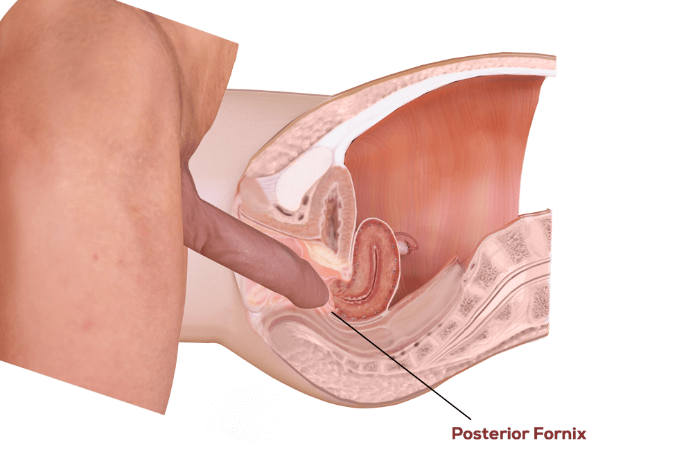 Inside cervix bihg dildo camera orgasm