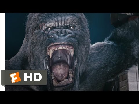 Specter recomended animation king vore kong island