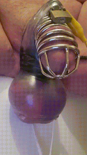 Double reccomend chastity cage torture