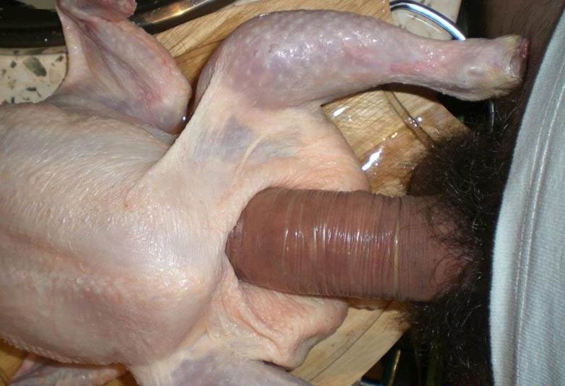 Barbera reccomend chicken porn chickens fucked holding