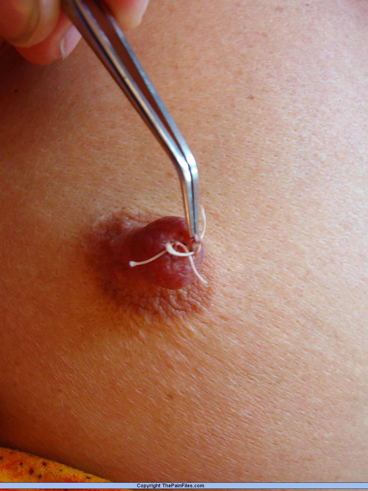 Radar reccomend piercing pussy shut needles painful bdsm