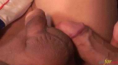 best of Porn small gif cock